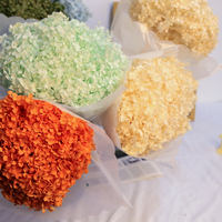 Fournitures de fleurs séchées : Tête d'hortensia véritable stabilisée, grand feuillage, couleur violette, pour la décoration intérieure