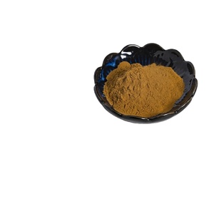Nhà máy cung cấp chất lượng tốt bán buôn bồ công anh chiết xuất từ rễ Bột Bồ Công Anh chiết xuất bột - Product Image 2