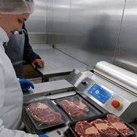Hoog rendement automatische PVC clingfilm verpakkingsmachine voor supermarkt punnet trays, geschikt voor voedsel, vlees, champignons, fruit en groenten