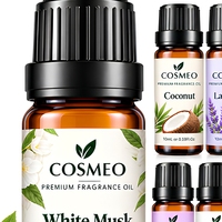 Huiles parfumées de qualité supérieure en gros, 10 ml, marque privée, pour la fabrication de bougies et de savons, pour coffrets cadeaux, diffuseurs d'arômes