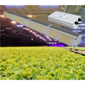 Lámpara de crecimiento de plantas lineal regulable de 300W y 600W, tira Led, barra de luz de crecimiento de plantas, luces Led de espectro completo para invernadero