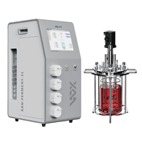 Biorreactor de Sobremesa de Vidrio con Agitación Mecánica |   Fermentador de un Solo Canal, Suministro Directo del Fabricante