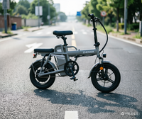 Bicicleta Eléctrica Plegable H10 de Litio, Estilo Clásico con Diseño Innovador, Disfruta de Cada Paseo