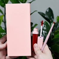 Ensemble de rouge à lèvres liquide et crayon à lèvres 2 en 1, marque privée, vente en gros, imperméable, longue tenue, logo personnalisé, maquillage pour les lèvres