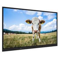 Pantalla Interactiva Táctil Inteligente IBoard Wifi de 65 Pulgadas, Pizarra Inteligente de 75 Pulgadas, Máquina de Conferencias Todo en Uno con USB y RJ45