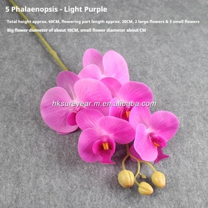 Orchidée Papillon Artificielle en PU Effet Naturel 69cm, Tige en Latex Phalaenopsis avec Fil de Fer pour Décoration Intérieure - Product Image 5