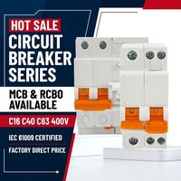 Wanbo-242 Vente Chaude Disjoncteurs MCB C16 C40 & RCBO C63 30mA Série 400V 6kA IEC 60898-1 Spécifications Directes Usine
