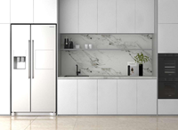 Pierre frittée en marbre blanc panda artificiel 3200mm grandes dalles pour armoire