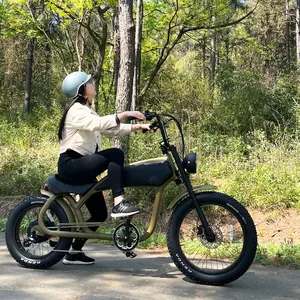 OEM maßge schneiderte 20-Zoll-Heckmotor 1000w Elektro-Dirtbike Elektro fahrrad für Erwachsene aus China