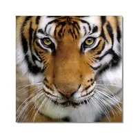 Canvas Painting Oil Oil Best Selling Crystal Clear HD Animal Tiger Acrylic Wall Art Prints Canvas Art Frameless Acrylic Painting Oil Painting For Room