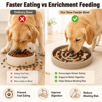 Bol d'enrichissement pour chien, mangeoire lente pour chiens rapides, anti-étouffement, stimulation mentale, puzzle d'alimentation, apaisement et alimentation saine