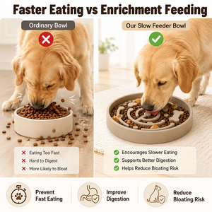 Ciotola Lenta per Cani: Ciotola Anti-Ingozzamento per Cani Veloci, Stimolazione Mentale, Puzzle Alimentare, Alimentazione Sana e Calmante - Product Image 2