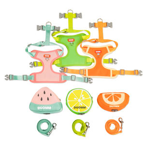 Conjunto de arnés y correa para perro de tallas XL pequeñas y únicas personalizadas, collares de nailon y poliéster transpirable para mascotas, accesorios - Product Image 6