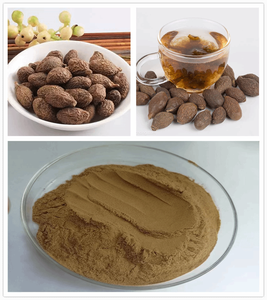 Fijne Sterculia Lychnophora Kruidenextract Poeder Natuurlijke Plant-Afgeleid - Product Image 2