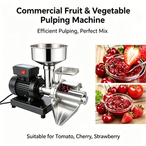 Machine à sauce tomate automatique compacte, la plus vendue, durable, pour la fabrication <span class=keywords><strong>de</strong></span> confiture <span class=keywords><strong>de</strong></span> fruits <span class=keywords><strong>maison</strong></span> - Product Image 1