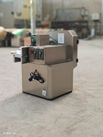 Industriële citroensnijmachine voor 200 kg/uur / fruit- en groentesnijmachine voor citroenen