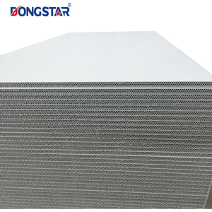 Bán buôn PP nhựa rỗng ván khuôn nhựa cho xây dựng với chất lượng cao - Product Image 5