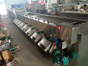 Ligne de tri automatique pour légumes fruits citron <span class=keywords><strong>kiwi</strong></span> olive trieuse d'oignons tomates cerises pomme mangue trieuse de pommes de terre - Product Image 6