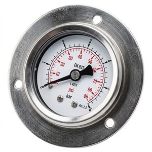 Manómetro Axial Compacto de 40 mm, Miniatura, de Latón, con Conexión Roscada y Montaje Trasero - Product Image 1