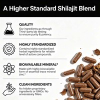 Complément de Shilajit à Marque Blanche, Capsules de Shilajit de l'Himalaya avec Panax Ginseng et Ashwagandha, Maintient la Santé Immunitaire, Fournit de l'Énergie