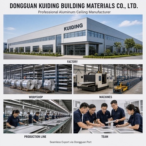 Pannelli <span class=keywords><strong>per</strong></span> Controsoffitto in Alluminio 600x600mm, Rivestimento in Polvere, Insonorizzati e Impermeabili <span class=keywords><strong>per</strong></span> Centri Commerciali, Scuole, Ospedali - Product Image 6