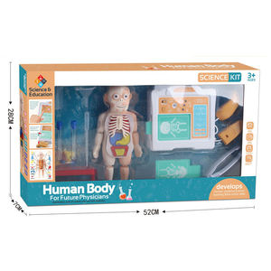 En gros Personnalisé Enfants Scientifique Biologie Physique Éducation Simulé Anatomie Infirmière Figure Médecin Humain Jouets pour Enfants - Product Image 6