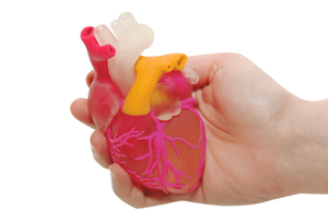 Prototipos profesionales médicos a todo color personalizados <span class=keywords><strong>para</strong></span> prototipos de servicio de impresión 3D - Product Image 5