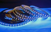 Bande lumineuse LED flexible IP20 12V 24V 365nm 395nm UV 2835
