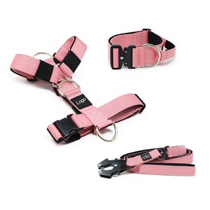 Conjunto de arnés y correa ajustable para perro, correa de neopreno suave táctico de alta resistencia, cintas personalizadas, color sólido - Product Image 2