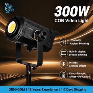 Lumière LED haute puissance 300W pour la prise de vue vidéo, 9 effets d'éclairage dynamiques, gradation progressive, lumière de remplissage, photographie de portrait et de produits - Product Image 1