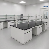 Banc de laboratoire Central Island avec armoire en acier, plan de travail en résine époxy et étagère supérieure pour réactifs, pour laboratoire de recherche universitaire