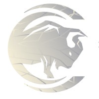Top Level (Hong Kong) Co., Limited logo