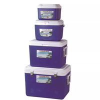 Boîte isotherme portable JL-B pour utilisation en extérieur, en voiture, à domicile et en milieu commercial - Glace et maintien au frais