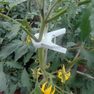 Un outil indispensable pour les planteurs de vignes Clips robustes durables et ravissants Clips de support de croissance de vigne de Fruits - Product Image 2