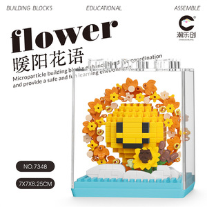 Set de Bloques de Construcción Nube Arcoíris |   Caja de Acrílico Transparente |   Decoración y Regalos para el Hogar con Temática de Flores Interestelares - Product Image 3