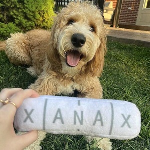 Jouets pour animaux de compagnie, jouets de relaxation pour chiens, jouets sonores, résistants aux déchirures, jouets en peluche résistants aux morsures, jouets sonores en gros. - Product Image 1