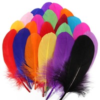 Plumes d'oie teintées de différentes couleurs, marque SJH Feather, palettes de 15-20 cm, modèle SJH2025111301, décoration de mariage, bricolage, carnaval