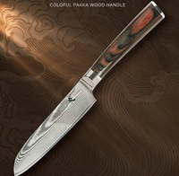 Ensemble de couteaux de cuisine de haute qualité, 67 couches d'acier Damas VG10, couteau de chef japonais, manche en bois Pakka coloré