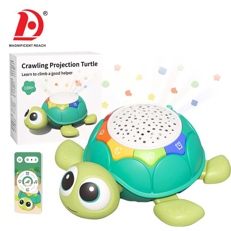 Tortue Jouet