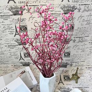 Venta Caliente de Frutos <span class=keywords><strong>Secos</strong></span> Naturales Preservados del Árbol de Sebo, Planta Decorativa, Ramo de Flores, Excoecaria Sebifera, Día de San Valentín - Product Image 5