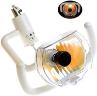 Lampe halogène pour clinique dentaire et hôpital, accessoires en plastique, fauteuil dentaire, équipement d'éclairage pour inspection buccale et traitement dentaire