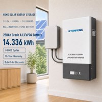Batterie LiFePO4 OEM 48V 280Ah 300Ah 314Ah, système de stockage d'énergie domestique mural haute efficacité 51.2V avec communication CAN