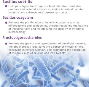 OEM ODM Private Pets <b>Probiotics</b> <b>for</b> <b>Dogs</b> with Prebiotics Promotes a Balanced Gut Microbiome - Boosts Immune Health Soft <b>Chews</b> - Product Image 6