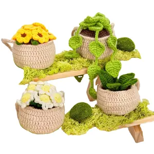 4 Pcs Hanging Potted Plants Decor Ornaments Doll Yarn Crochet Kit for Beginners Knitting DIY Material Package in English