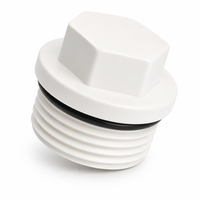 Bouchon de tuyau en plastique PPR 1/2" 3/4" à filetage BSP mâle, embout hexagonal avec joint torique en caoutchouc PN25 pour raccords de conduites d'eau