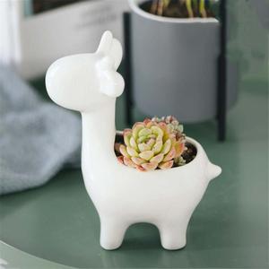 <span class=keywords><strong>Pot</strong></span> de fleurs en céramique, plante succulente, pots en forme d'animaux, pots de fleurs pour la maison, le bureau, le jardin, la décoration de bureau, le bonsaï - Product Image 4