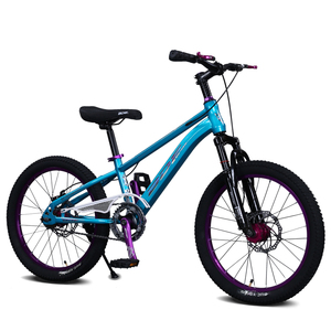 Vélo vtt pour étudiants Vélo à pédale violet à une vitesse Vélo ordinaire pour enfants du fabricant avec frein à disque Fourche en acier - Product Image 2