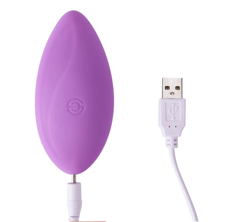 Mini Vibrating Sex Toys - Secret Panty Underwear for Women