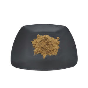 Polvo de Canela, Extracto de Canela en Polvo - Product Image 1