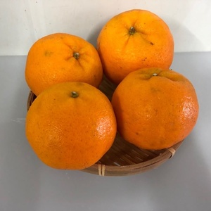 Üst sınıf çin mandarin turuncu düşük fiyatlar organik taze göbek turuncu tatlı taze narenciye mandarin - Product Image 5
